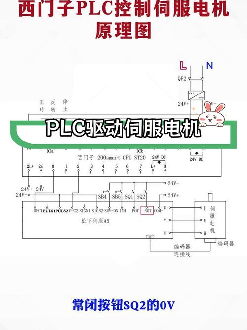 直流伺服電機的調(diào)整方法主要是什么，直流伺服電機解剖圖